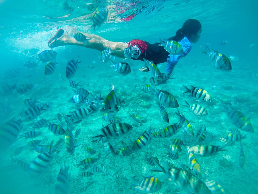 nalusuan-island-cebu nalusuan-island-cebu - Sugbo.ph