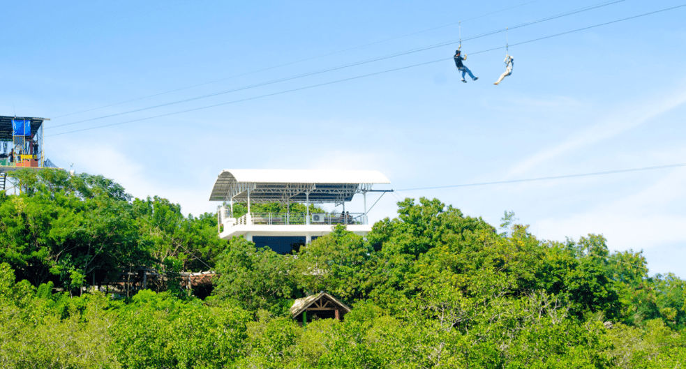 papakits-zipline