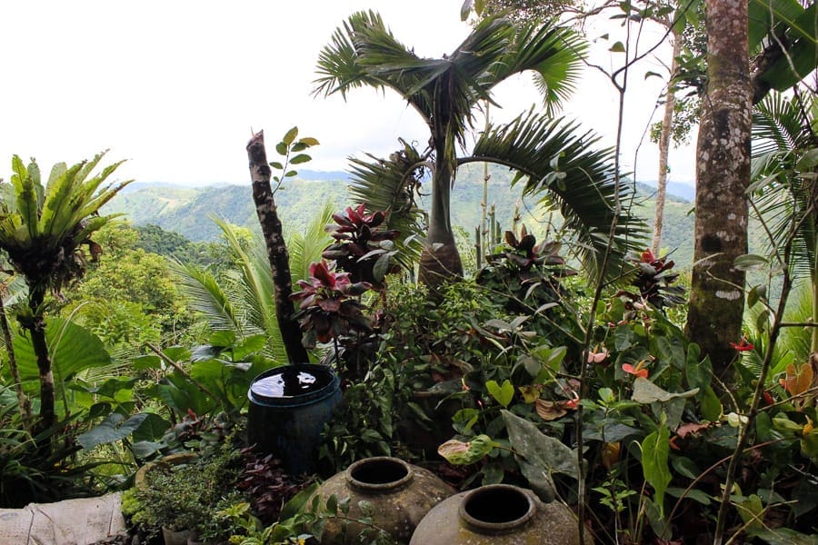 dantiquehouse-balamban