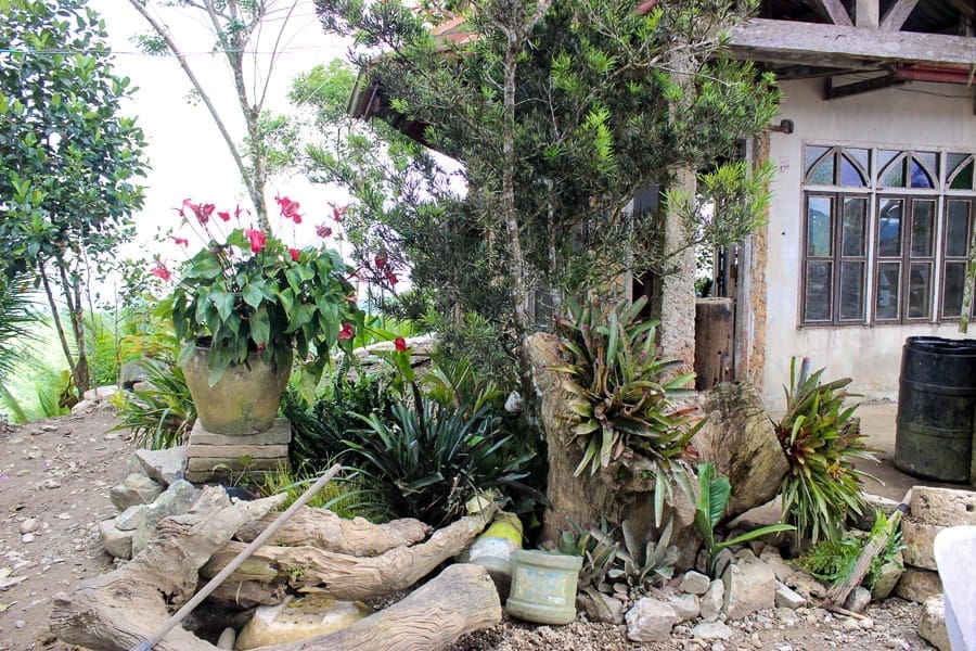 dantiquehouse-balamban