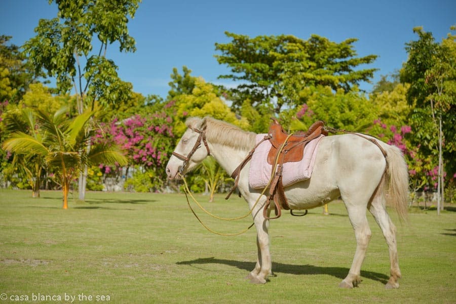 casa-blanca-by-the-sea