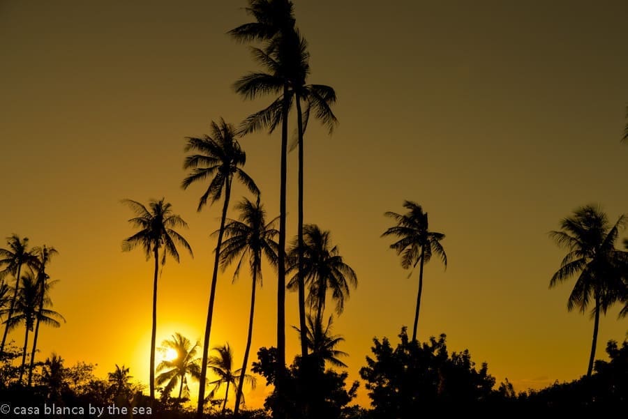 casa-blanca-by-the-sea