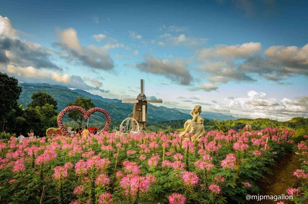 new-sirao-flower-garden-farm