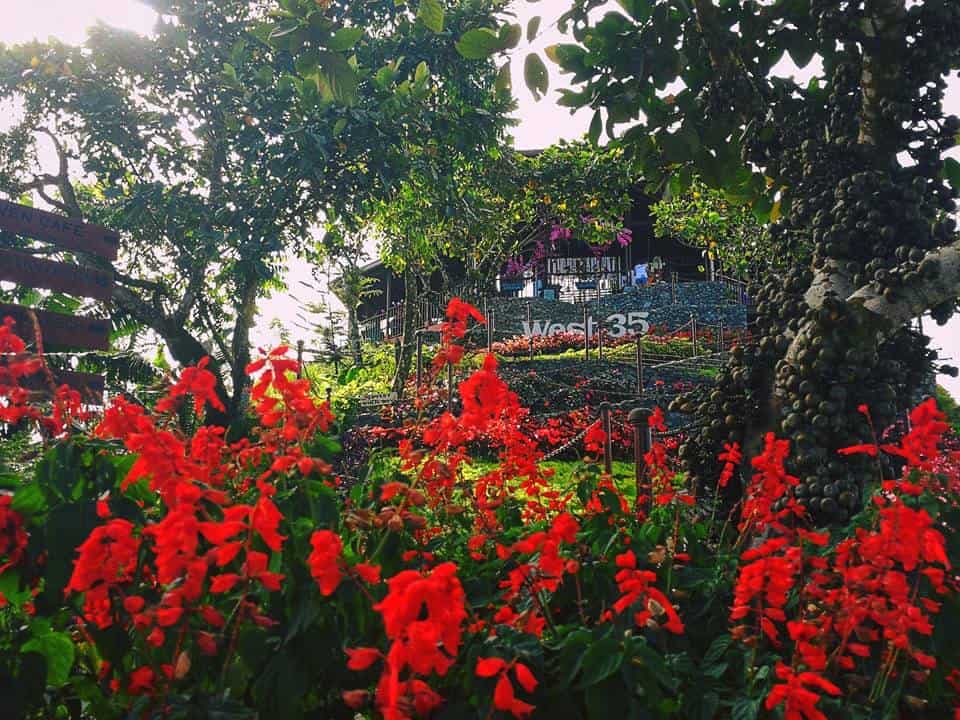west35-resort-cebu