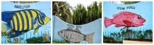 jsjs-mountain-resort-fish