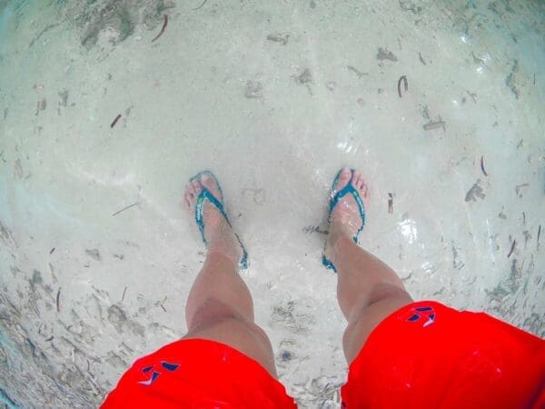 cordova white sandbar