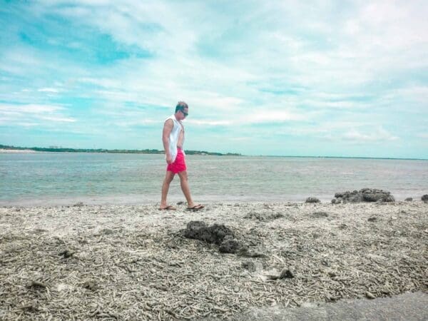 cordova white sandbar