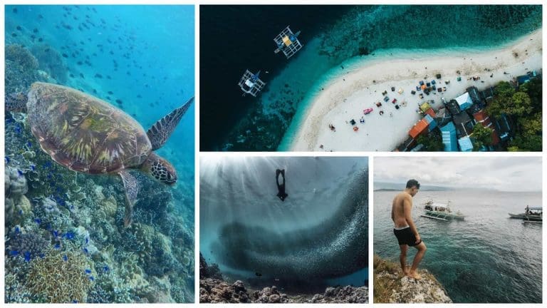 Moalboal Guide: Pescador Island + Sardine Run + Turtle Point + Basdaku Beach