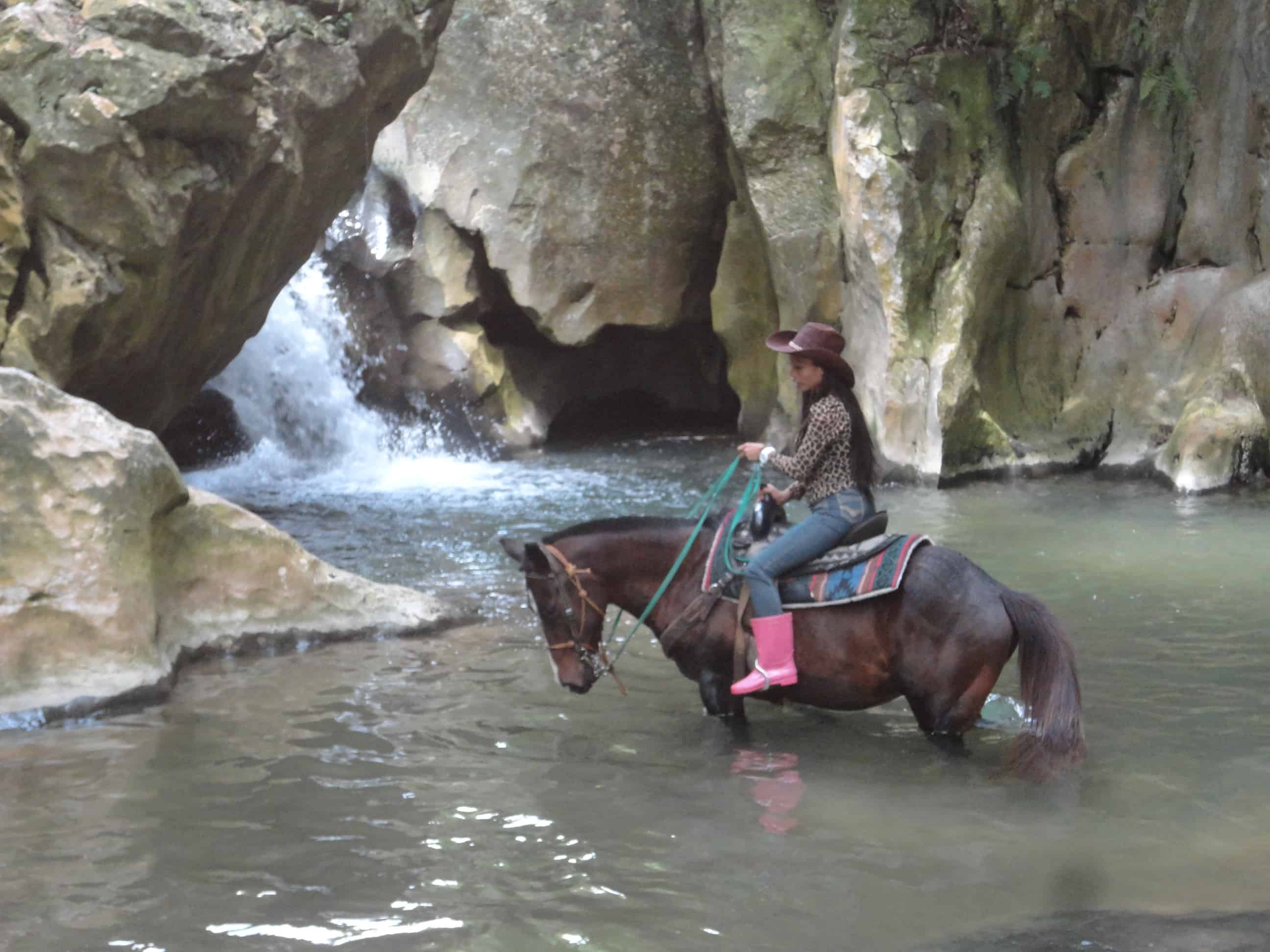 Big Q Farm Horseback Riding Cebu
