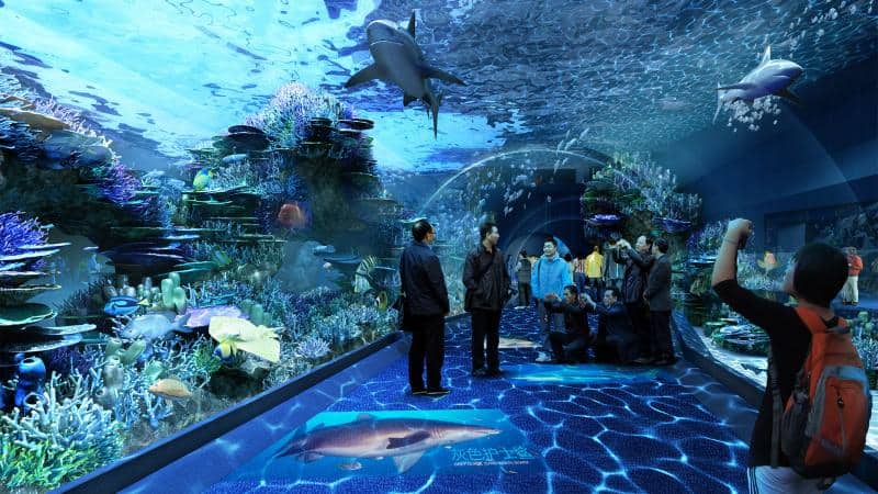 cebu-ocean-park-oceanarium2