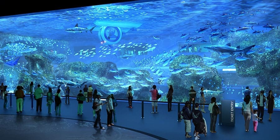cebu-ocean-park-oceanarium3