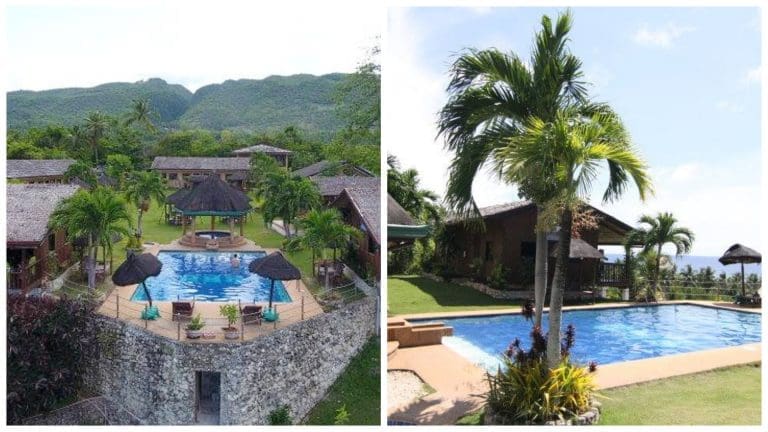 Bodo’s Parrot Paradise Resort Alcoy: Staycation like a VIP