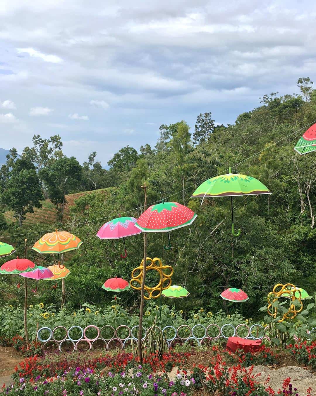 Katilong Sunflower Farm Cantipla Cebu City (5)