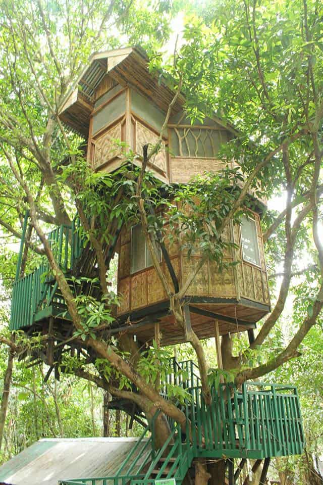 durano eco farm spring resort carmen cebu (3)