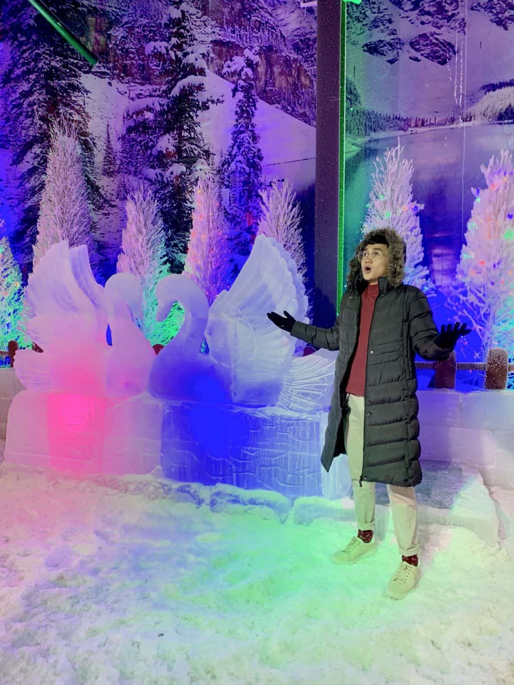 Snow World Cebu Actual Photos (7)