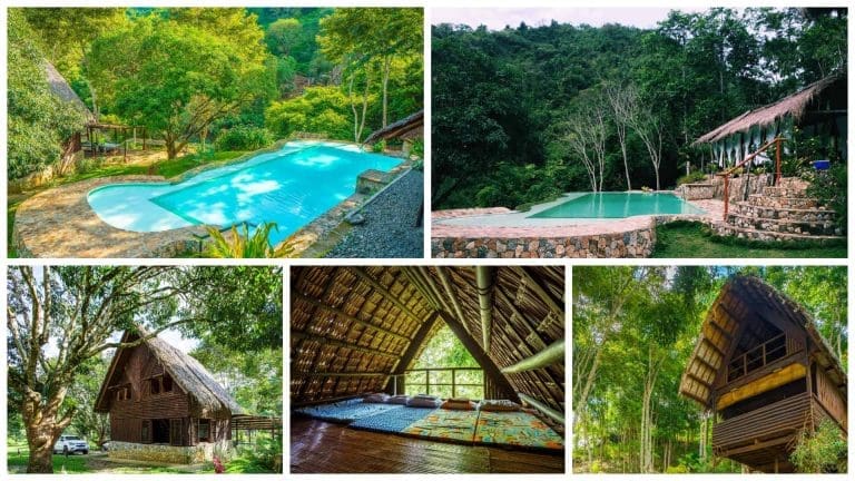 A taste of paradise at Lava Mountain River Farm in Cebu City