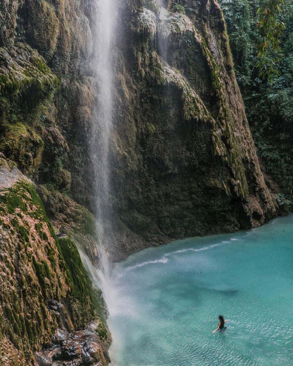 tumalog2