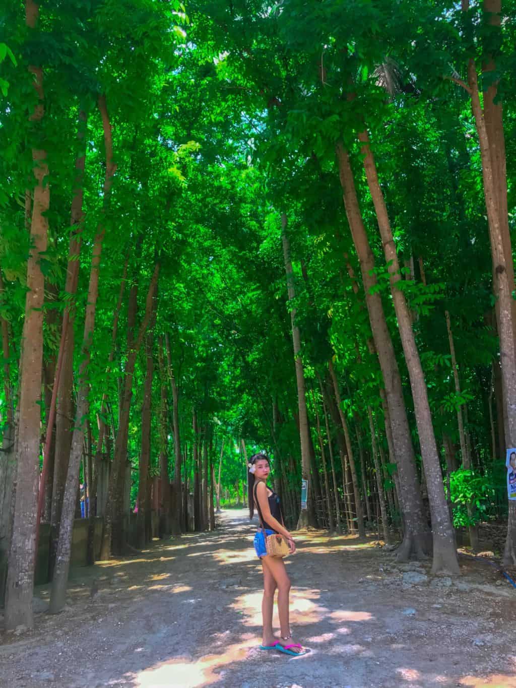 kansanto spring badian cebu (6)