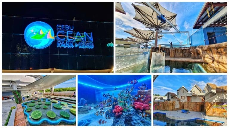 What to Expect at Cebu Ocean Park