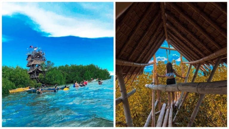 60-Peso Challenge: Bakhaw’s Paradise in Cordova