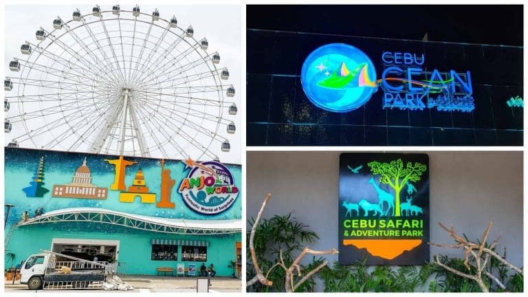 Top Attractions in Cebu for 2019: Cebu Ocean Park, Cebu Safari, Anjo World