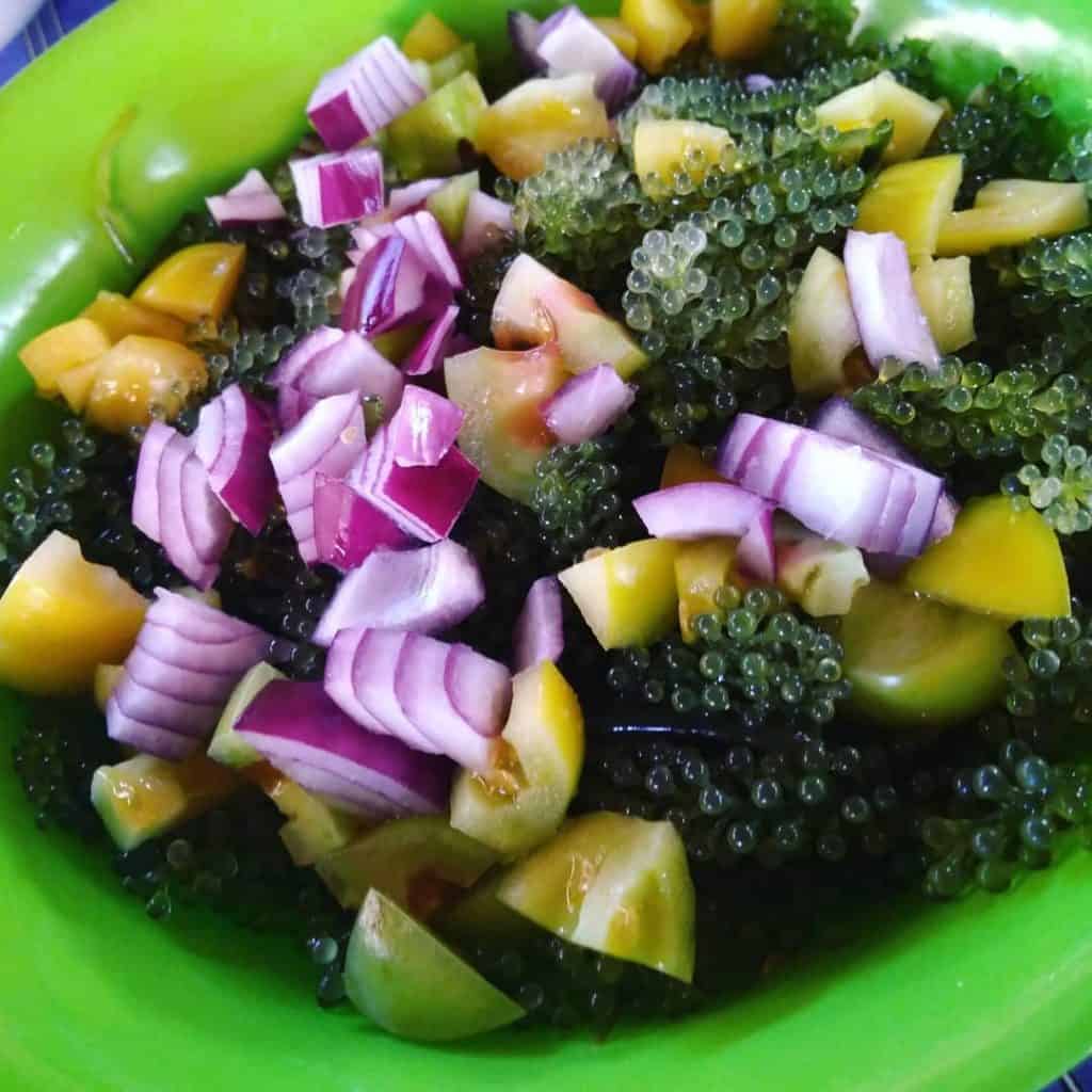 Co Jordan Talaba Bangus Cebu (3)