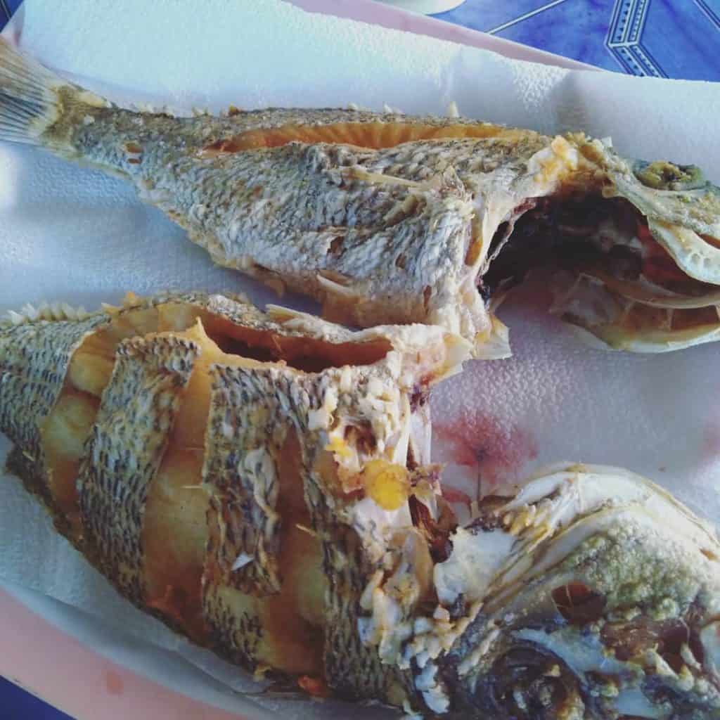 Co Jordan Talaba Bangus Cebu (3)