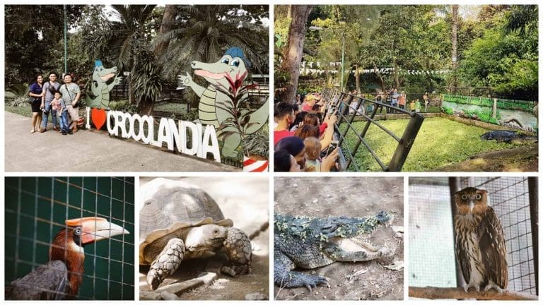 Cebu Trip: Crocolandia in Talisay City