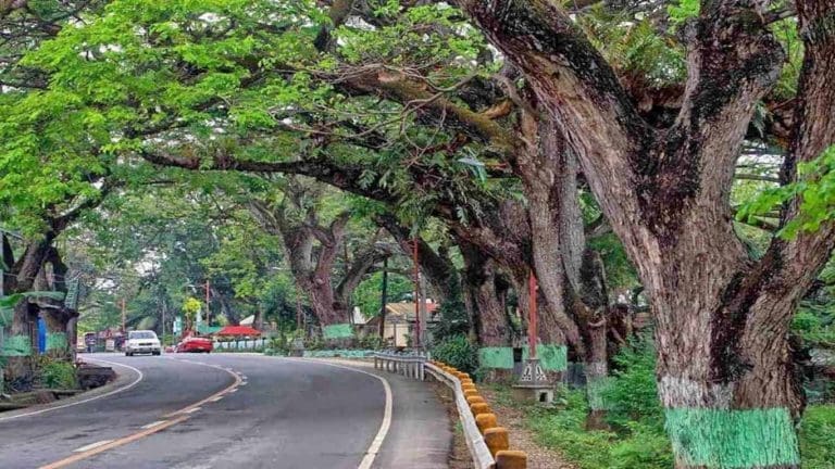 New PH law declares Carcar City now a heritage zone