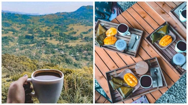 Maharlicup: Good coffee with a breathtaking view