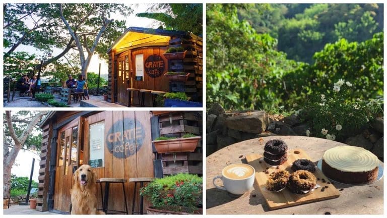 Crate Café: Quench your thirst, Appreciate the view