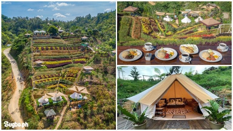 EVO Nature Camp: Ultimate adventure family destination in Balamban