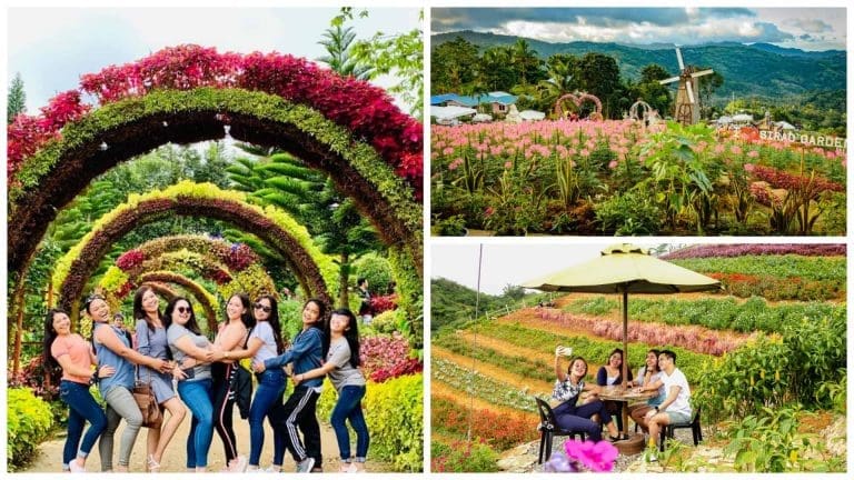 Most Beautiful Flower Gardens in Cebu