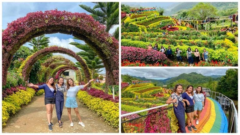 Buwakan ni Alejandra, Balamban’s gorgeous flower garden