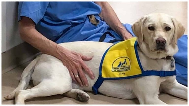 This fur baby is also a frontliner amid CoVID-19 Crisis