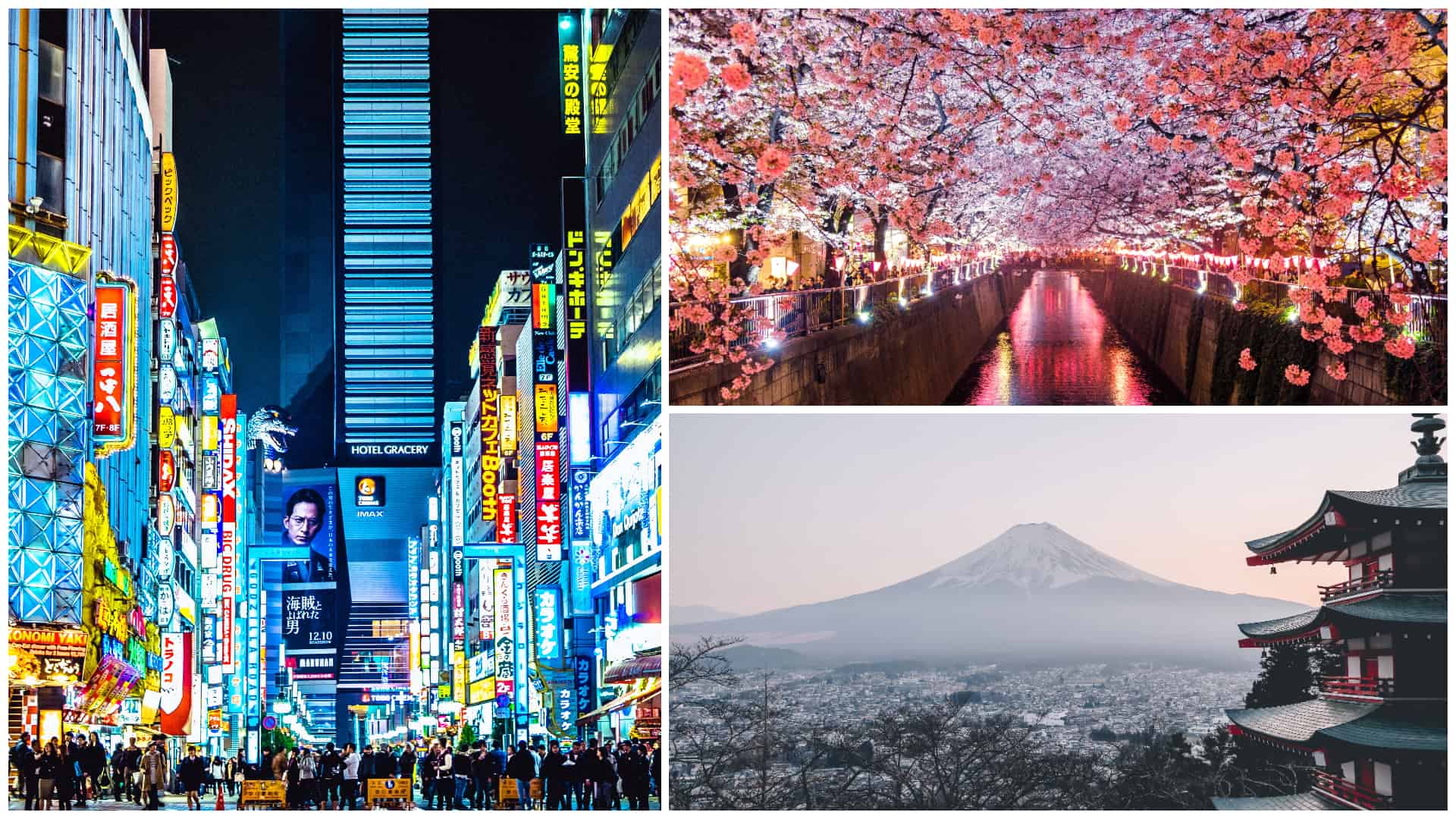 1 Japan to subsidize next travel