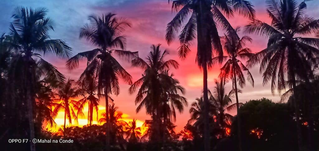 Camotes-Island-Antz-Ville-Con