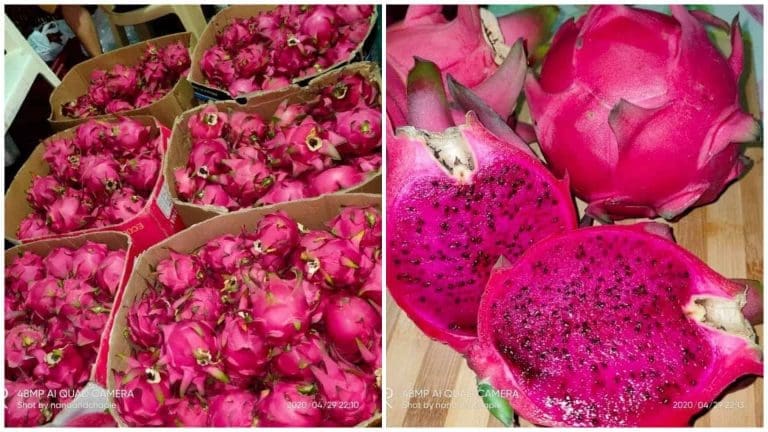Now you can order Dragon Fruits online, get free delivery within Cebu City