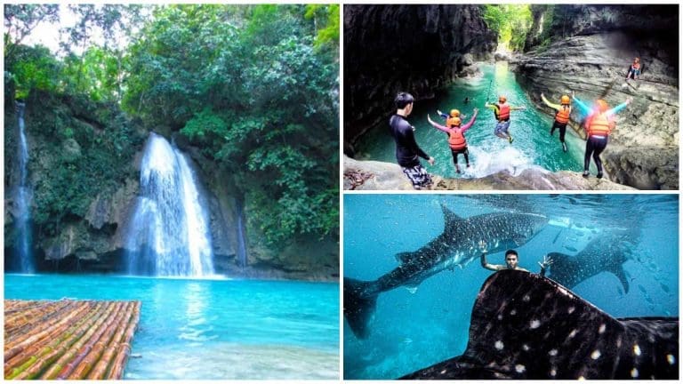 Kawasan, Canyoonering, Whale Shark Watching may reopen amid MGCQ