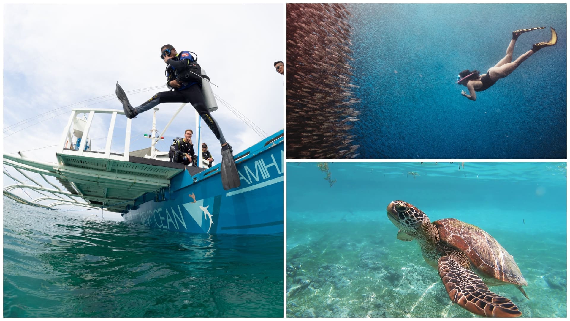 1 diving spots cebu