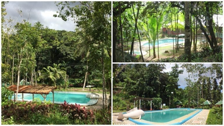 Spring Park Mountain Resort: A Serene Escape to Toledo City