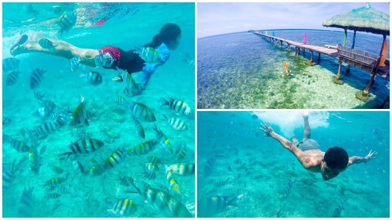 Underwater Wonders: 5 Marine Sanctuaries in Cebu