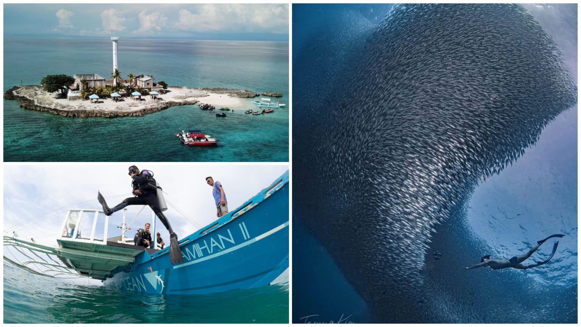 1 best diving sites in cebu