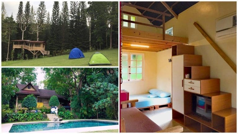 Noah’s Farm: An Outdoor Nature Experience in Carmen