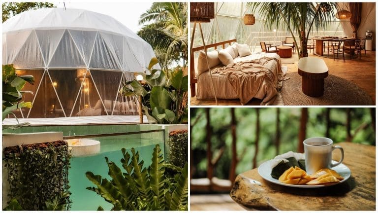 Aesthetic Glamping at Dome De Valentine in Balamban, Cebu