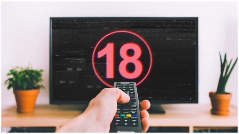 This company offers P1,000 per hour to watch Adult Videos