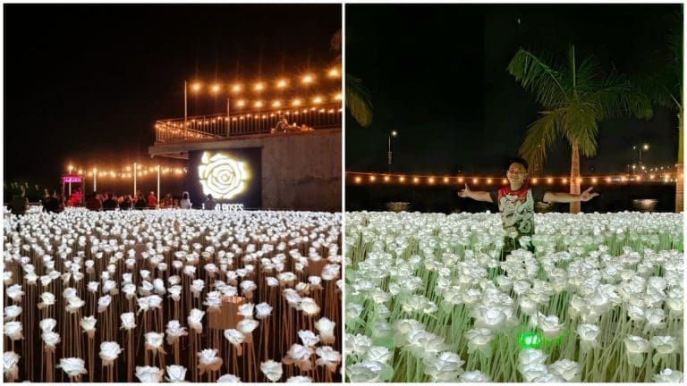 Look! The newly reopened 10,000 Roses Cafe in Cordova, Cebu