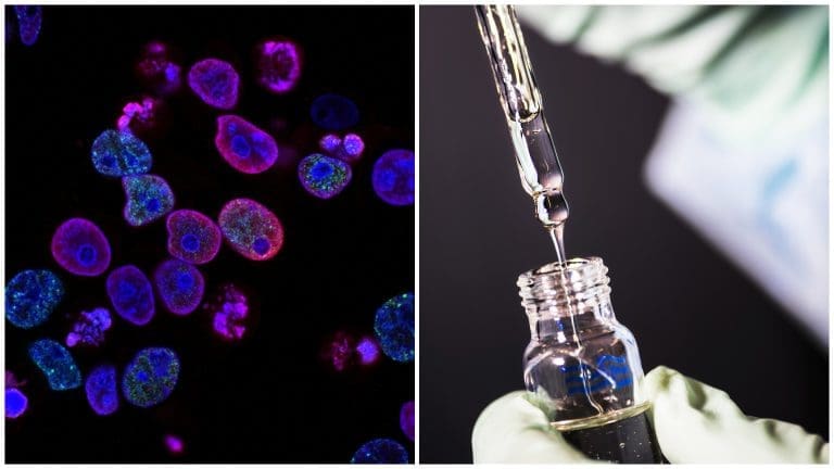 Colon Cancer Drug achieves 100% Success Rate in Clinical Trials