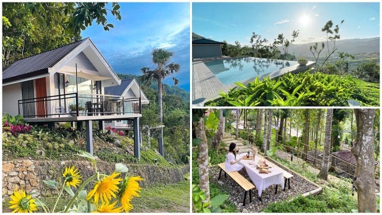 Discover Cebu City’s hidden gem, Gray Stone Farm