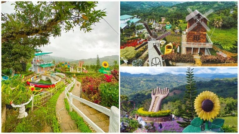 2023 Guide: The Original Sirao Garden- Little Amsterdam in Cebu City